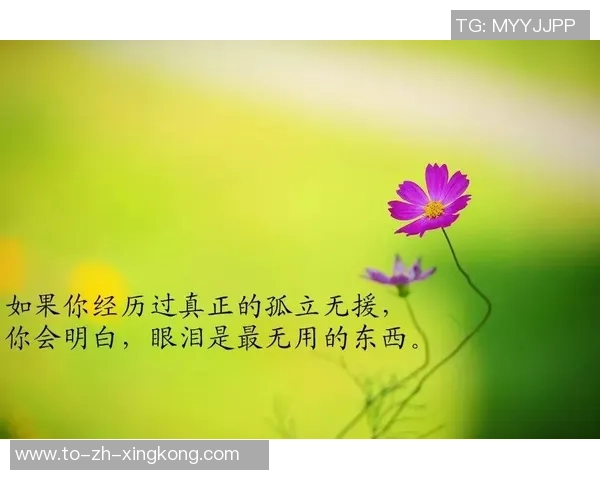 足球的魅力与人生哲理的深刻启示读后感分享